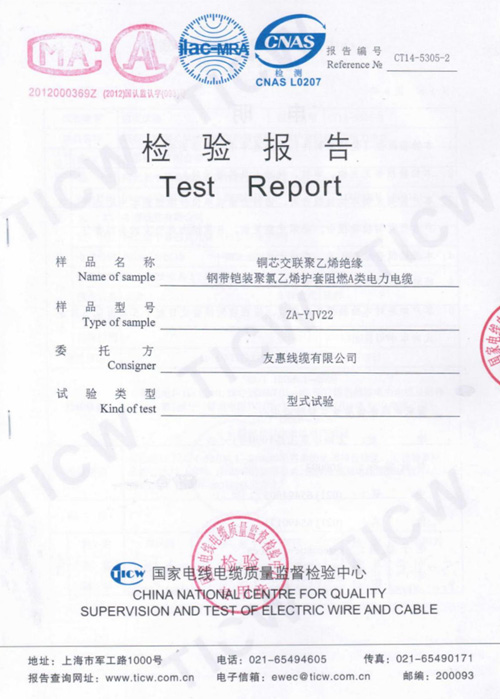 檢驗報告