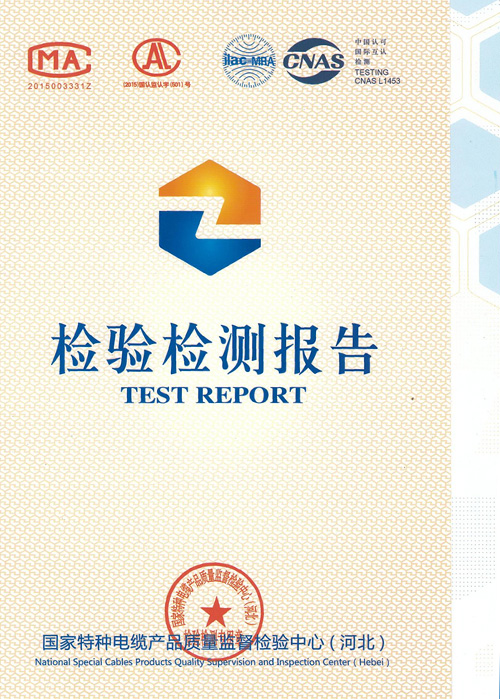 檢驗報告