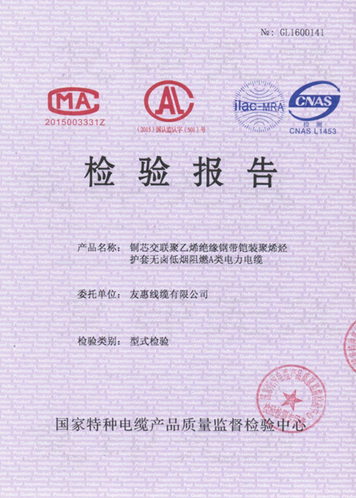 檢驗報告