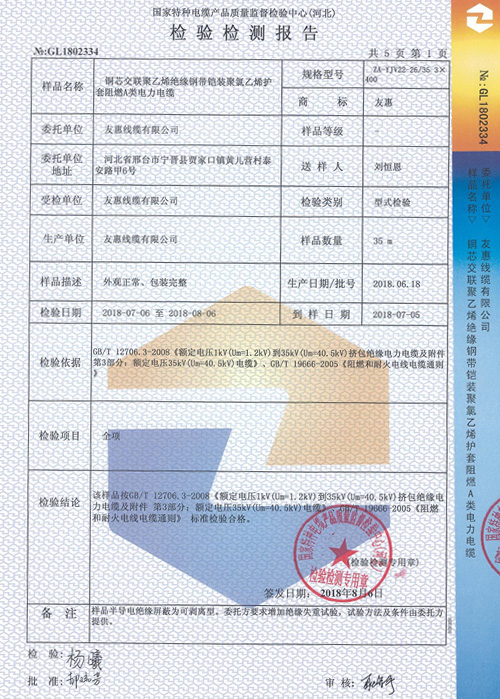 檢驗報告