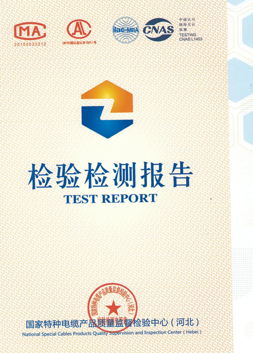 檢驗報告