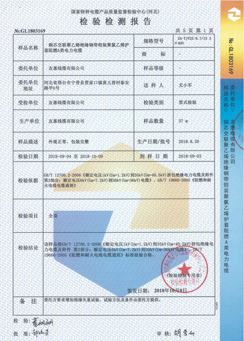 檢驗報告