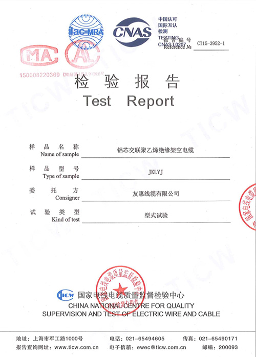檢驗報告